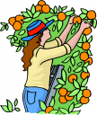 Food Clipart