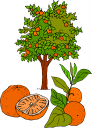 Food Clipart