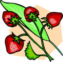 Food Clipart