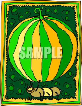 Invertebrates Clipart