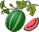 Food Clipart