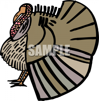 Bird Clipart