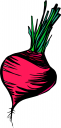 Food Clipart
