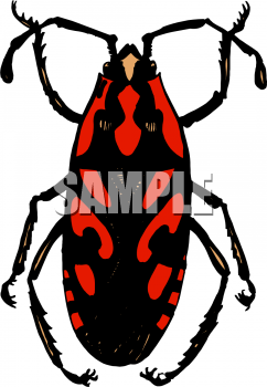 Insect Clipart