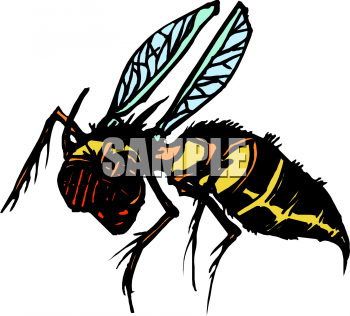 Insect Clipart