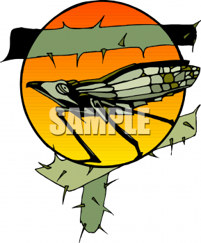 Insect Clipart