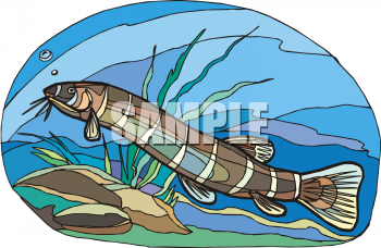 Fish and Sea Life Clipart