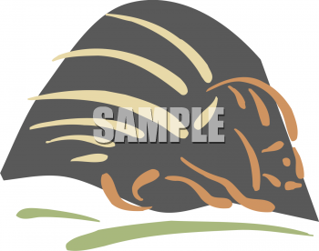 Reptile Clipart