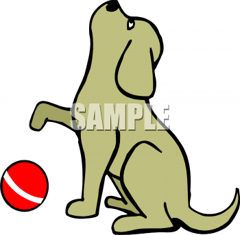 Pet Clipart