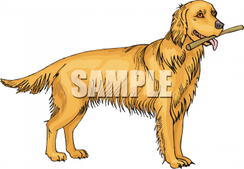 Pet Clipart