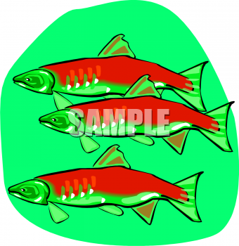 School Clipart