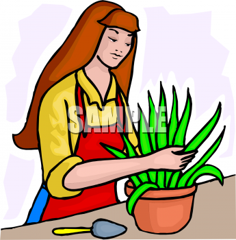 plant clip art. Plant Clipart