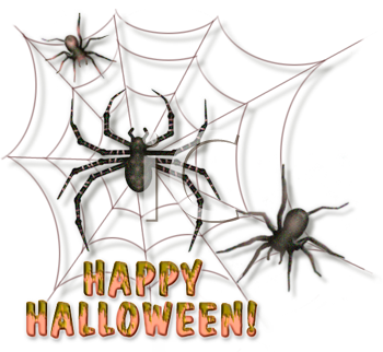 Insect Clipart