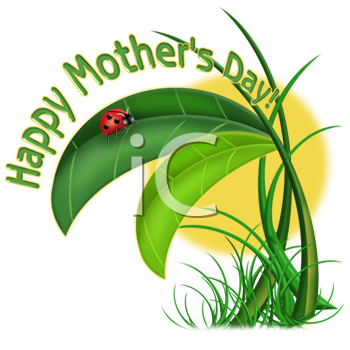 Beetle Clipart