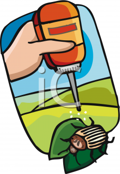 Insect Clipart