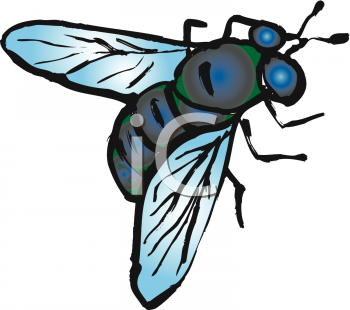 Insect Clipart