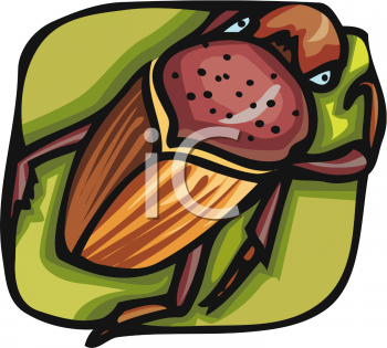 Insect Clipart
