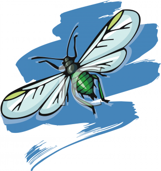 Insect Clipart