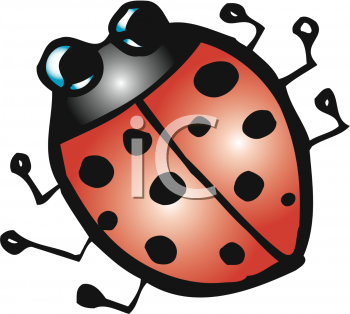 Insect Clipart