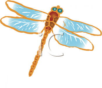 Insect Clipart