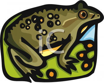 Amphibians Clipart