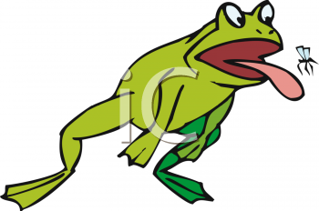 Insect Clipart