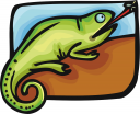 Insect Clipart