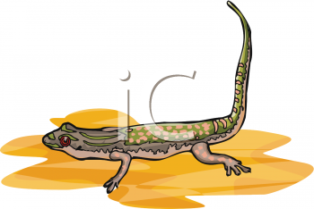 Reptile Clipart