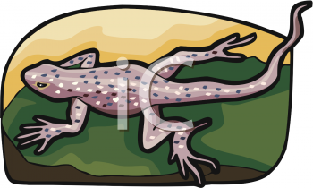 Reptile Clipart