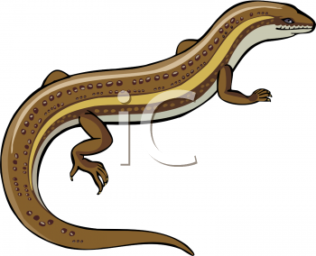 Lizard Clipart