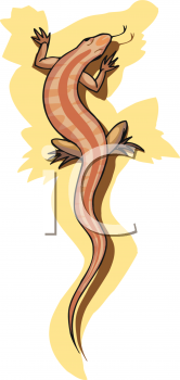 Lizard Clipart