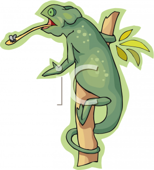 Insect Clipart