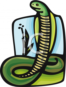 Reptile Clipart