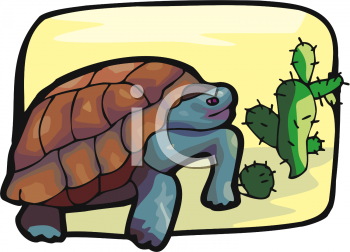Reptile Clipart