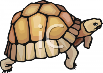 Reptile Clipart