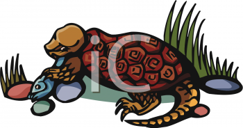 Reptile Clipart