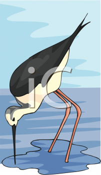 Bird Clipart