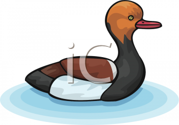 Bird Clipart