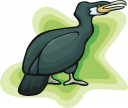 Bird Clipart