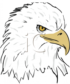 Bird Clipart