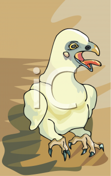 Bird Clipart