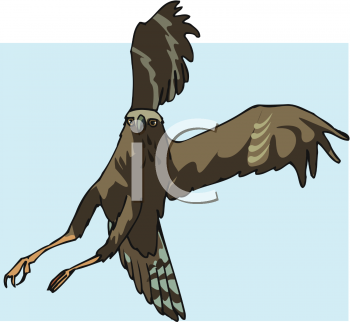 Bird Clipart
