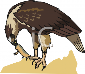 Bird Clipart