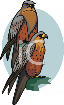 Bird Clipart