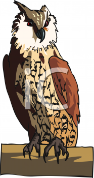 Bird Clipart