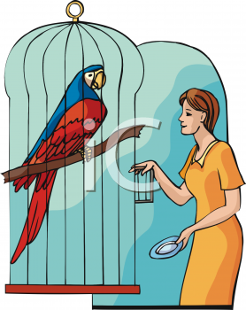 Bird Clipart