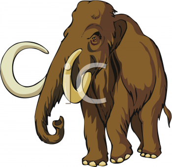 Mammal Clipart
