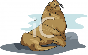 Fish and Sea Life Clipart