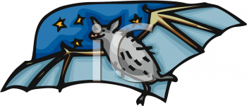 Insect Clipart