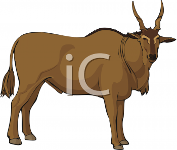 Farm Animal Clipart